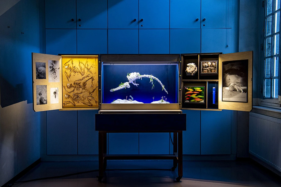 The Museum Suitcase The Imaginary Sea
